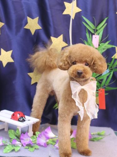 20230730まめくん